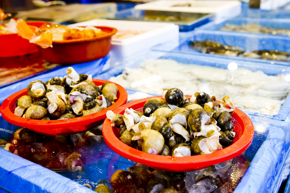 4b725fe56d839db88285b8da96b23348_1578900864_9792.jpg 4b725fe56d839db88285b8da96b23348_1578900864_9792.jpg