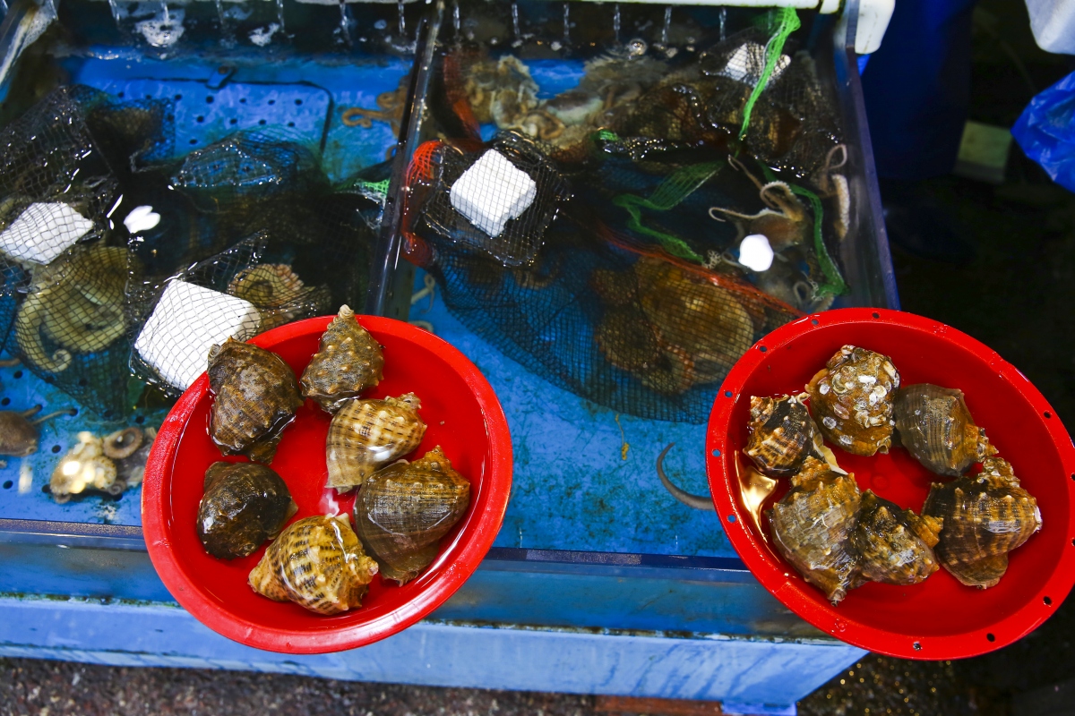 4b725fe56d839db88285b8da96b23348_1578900866_2682.jpg 4b725fe56d839db88285b8da96b23348_1578900866_2682.jpg