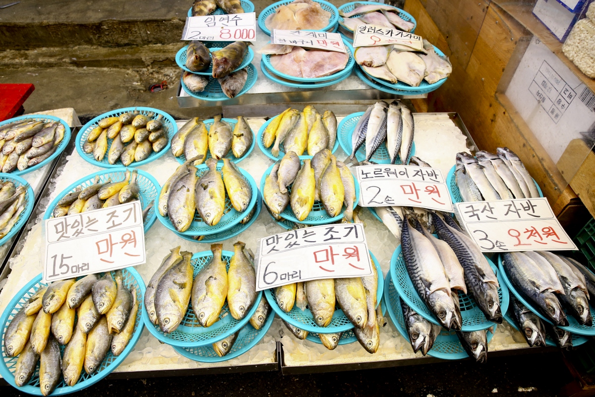 전국별별시장 > 중곡제일골목시장 | 별별시장&별별여행 ┃ 여행문화의 새로운 트렌드를 만들다 전국별별시장 > 중곡제일골목시장